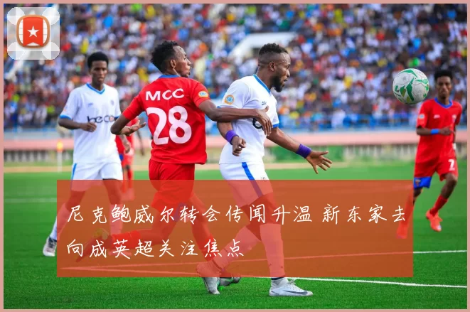 尼克鲍威尔转会传闻升温 新东家去向成英超关注焦点