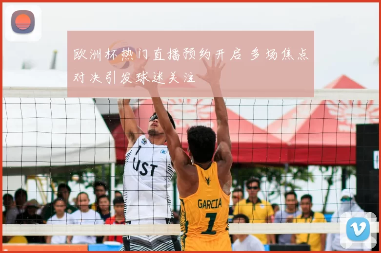 欧洲杯热门直播预约开启 多场焦点对决引发球迷关注