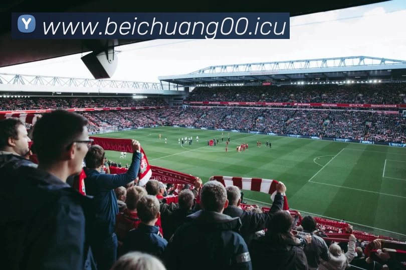 未来规划