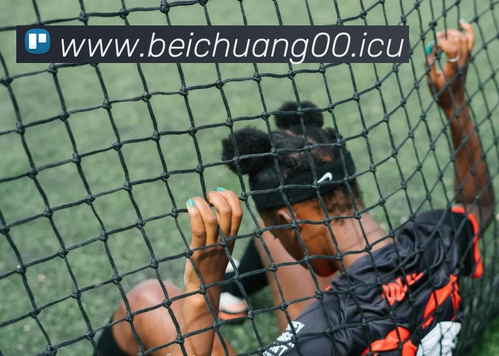 App Interface Preview